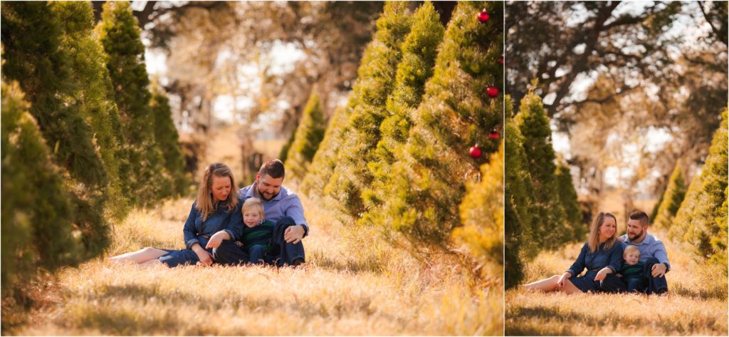Sanats Christmas Tree Farm Photographer